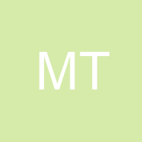 Mr T