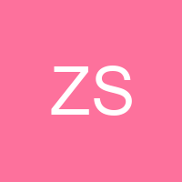 Zain Saqib